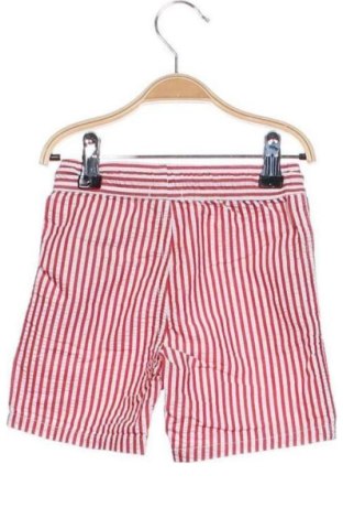 Pantaloni scurți pentru copii Unbranded, Mărime 18-24m/ 86-98 cm, Culoare Multicolor, Preț 36,49 Lei