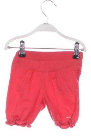 Kinderhose Mexx, Größe 3-6m/ 62-68 cm, Farbe Orange, Preis € 13,00