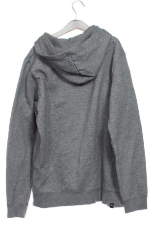 Kinder Sweatshirts PUMA, Größe 13-14y/ 164-168 cm, Farbe Grau, Preis € 27,99