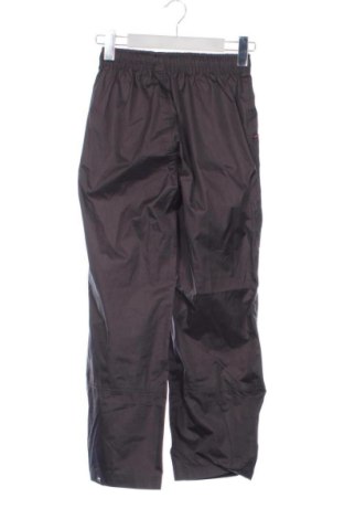 Детско спортно долнище Crane, Размер 8-9y/ 134-140 см, Цвят Сив, Цена 12,85 €