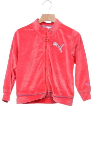 Kinder Sportoberteil PUMA, Größe 3-4y/ 104-110 cm, Farbe Rot, Preis 22,99 €