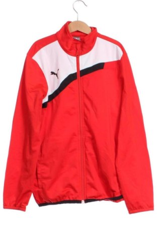 Παιδικό αθλητικό πάνω φόρμα PUMA, Μέγεθος 11-12y/ 152-158 εκ., Χρώμα Πολύχρωμο, Τιμή 20,99 €