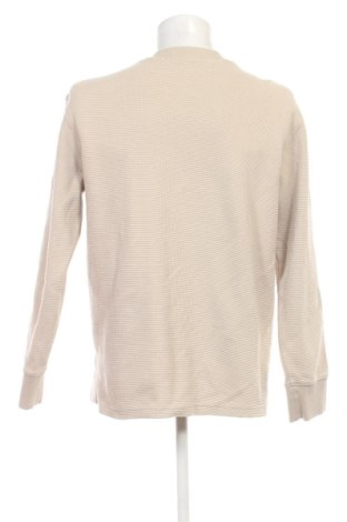 Męska bluzka Calvin Klein Jeans, Rozmiar XL, Kolor Beżowy, Cena 301,90 zł