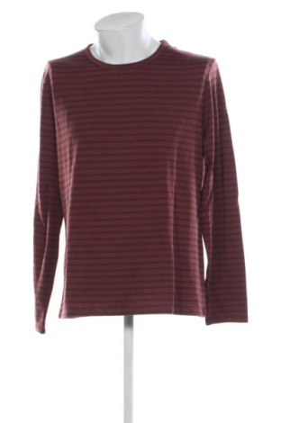 Herren Shirt Craghoppers, Größe XL, Farbe Mehrfarbig, Preis 48,00 €