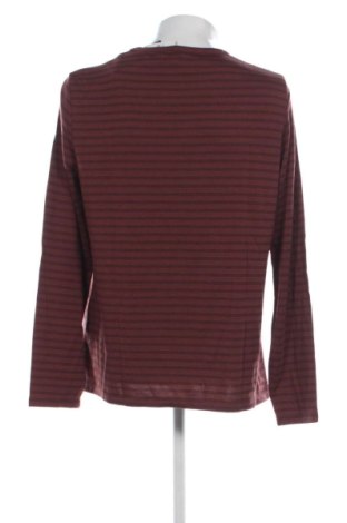 Herren Shirt Craghoppers, Größe XL, Farbe Mehrfarbig, Preis 48,00 €