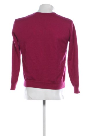 Męski kardigan Peter Hahn, Rozmiar L, Kolor Fioletowy, Cena 166,99 zł