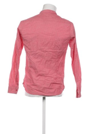 Herrenhemd Dstrezzed, Größe M, Farbe Mehrfarbig, Preis 36,99 €