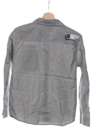 Herrenhemd Ecko Unltd., Größe S, Farbe Mehrfarbig, Preis 39,00 €