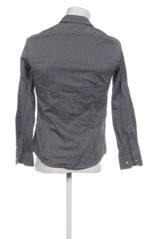 Herrenhemd Piazza Italia, Größe M, Farbe Mehrfarbig, Preis € 24,00
