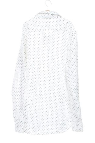 Мъжка риза Zara, Размер L, Цвят Многоцветен, Цена 17,35 €