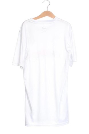 Herren T-Shirt PUMA, Größe XS, Farbe Mehrfarbig, Preis € 18,99