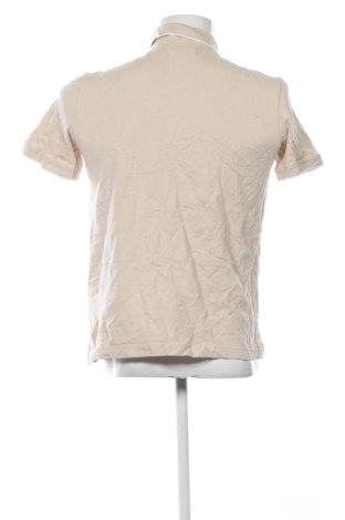 Pánske tričko  Tom Tailor, Veľkosť M, Farba Béžová, Cena  12,95 €