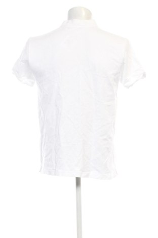 Мъжка тениска Tom Tailor, Размер L, Цвят Бял, Цена 10,73 €