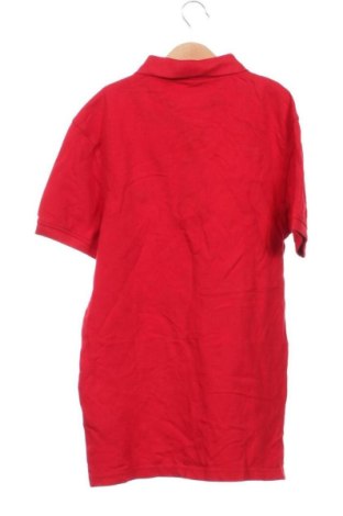 Ανδρικό t-shirt Zara, Μέγεθος S, Χρώμα Κόκκινο, Τιμή 12,99 €