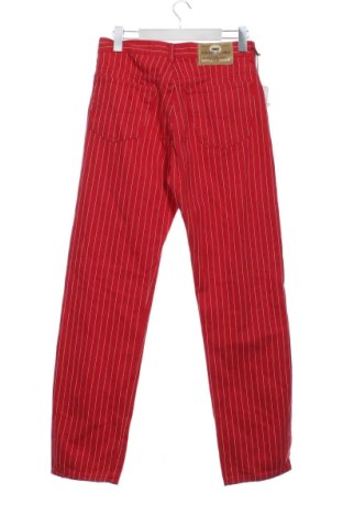 Pánske džínsy  Unbranded, Veľkosť S, Farba Viacfarebná, Cena  23,95 €