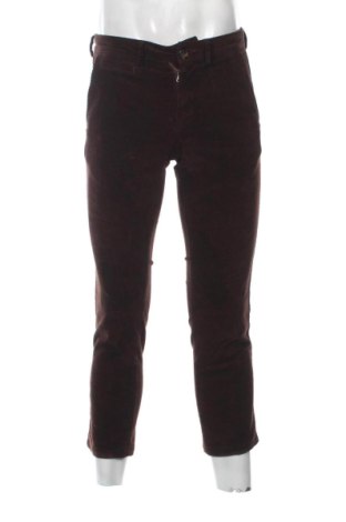 Herren Cordhose Bexleys, Größe M, Farbe Braun, Preis € 32,99