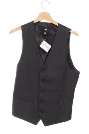 Ανδρικό γιλέκο H&M, Μέγεθος M, Χρώμα Πολύχρωμο, Τιμή 15,00 €