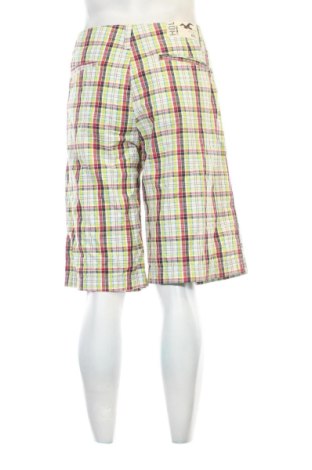 Herren Shorts Hollister, Größe L, Farbe Mehrfarbig, Preis 17,99 €
