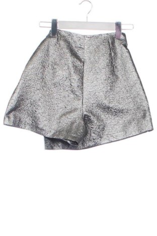 Sukně- kalhoty  Zara, Velikost XS, Barva Stříbrná, Cena  283,00 Kč
