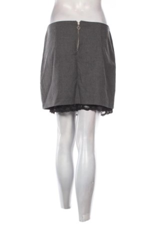 Fustă Fb Sister, Mărime L, Culoare Gri, Preț 52,13 Lei