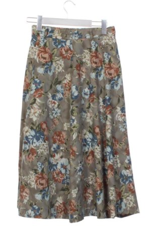 Fustă Unbranded, Mărime XS, Culoare Multicolor, Preț 62,56 Lei