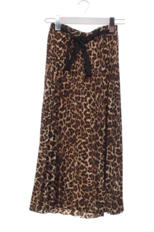 Fustă Zara, Mărime XS, Culoare Multicolor, Preț 57,66 Lei