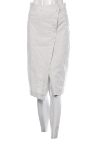 Fustă Zara, Mărime S, Culoare Gri, Preț 72,99 Lei