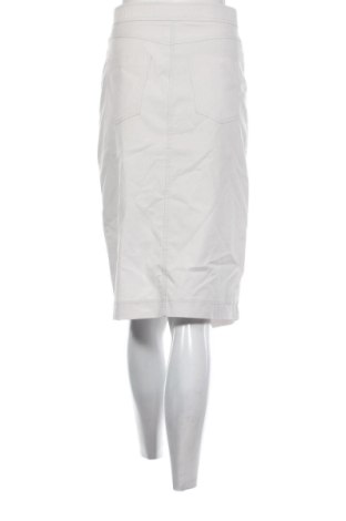 Fustă Zara, Mărime S, Culoare Gri, Preț 72,99 Lei