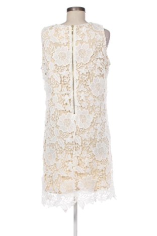 Ruha DB Established 1962, Méret XL, Szín Sokszínű, Ár 10 331 Ft