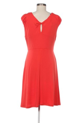 Sukienka Morgan, Rozmiar L, Kolor Pomarańczowy, Cena 129,99 zł