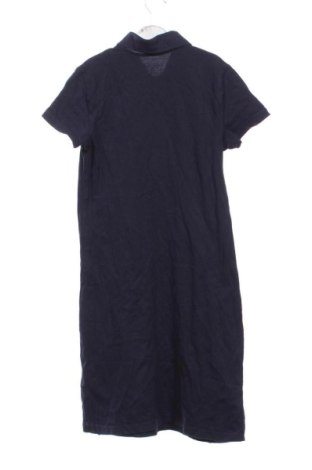 Sukienka Nautica, Rozmiar XS, Kolor Niebieski, Cena 504,99 zł