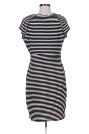 Sukienka Promod, Rozmiar XL, Kolor Kolorowy, Cena 129,99 zł