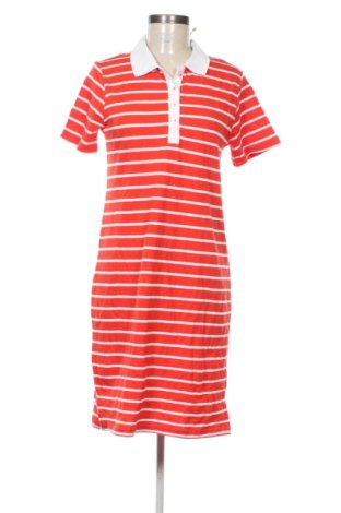 Kleid Up 2 Fashion, Größe S, Farbe Mehrfarbig, Preis 25,99 €