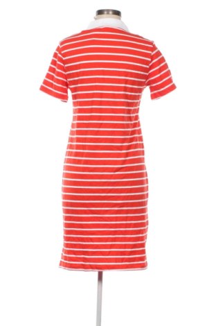 Kleid Up 2 Fashion, Größe S, Farbe Mehrfarbig, Preis 25,99 €