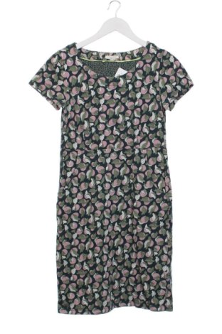 Kleid White Stuff, Größe XS, Farbe Mehrfarbig, Preis 42,01 €