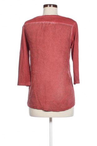 Damen Shirt Maison Scotch, Größe S, Farbe Mehrfarbig, Preis 4,99 €