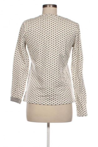 Dámská halenka Montego, Velikost M, Barva Vícebarevné, Cena  69,00 Kč