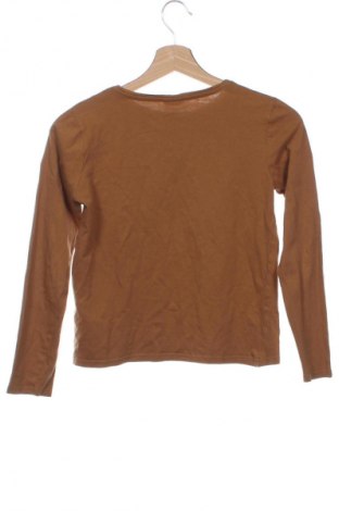 Детска блуза Page One, Размер 10-11y/ 146-152 см, Цвят Кафяв, Цена 3,06 €