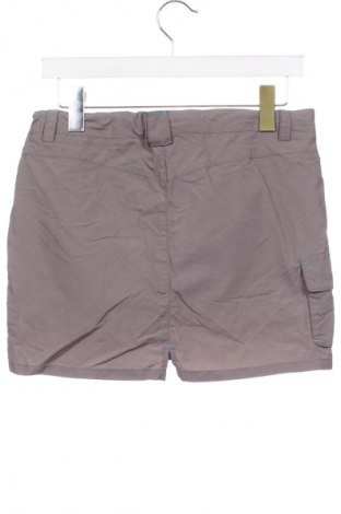 Детска пола Wildebeast, Размер 15-18y/ 170-176 см, Цвят Сив, Цена 2,04 €