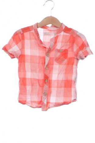 Dziecięca koszula LC Waikiki, Rozmiar 2-3m/ 56-62 cm, Kolor Kolorowy, Cena 6,99 zł