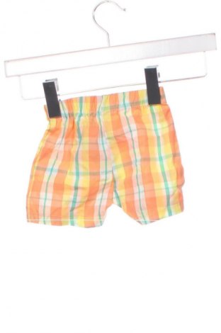 Dziecięce szorty In Extenso, Rozmiar 3-6m/ 62-68 cm, Kolor Kolorowy, Cena 6,99 zł