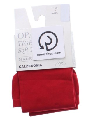 Rajstopy Calzedonia, Rozmiar S, Kolor Czerwony, Cena 84,94 zł