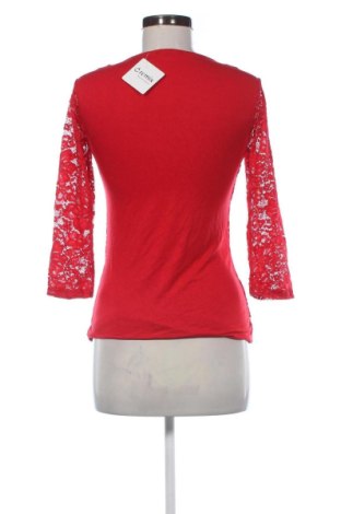 Damen Shirt Amisu, Größe M, Farbe Rot, Preis 10,00 €