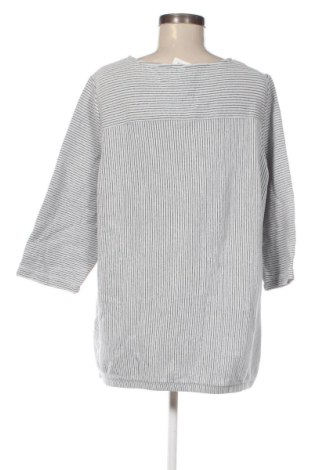 Dámska blúza Cecil, Veľkosť XXL, Farba Viacfarebná, Cena  20,95 €