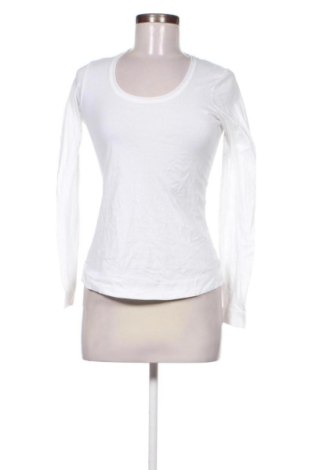 Damen Shirt Comma,, Größe S, Farbe Weiß, Preis € 24,55