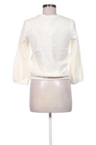 Dámska blúza Cotton Club, Veľkosť M, Farba Viacfarebná, Cena  18,95 €