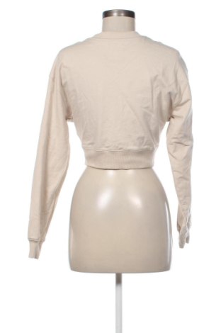 Damen Shirt Esprit, Größe S, Farbe Beige, Preis 17,39 €