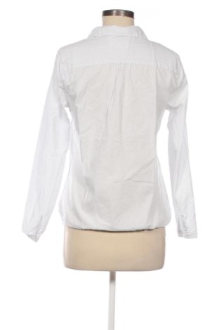 Damen Shirt Essentials by Tchibo, Größe S, Farbe Mehrfarbig, Preis 9,00 €