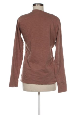 Damen Shirt Garcia, Größe XL, Farbe Braun, Preis 17,00 €