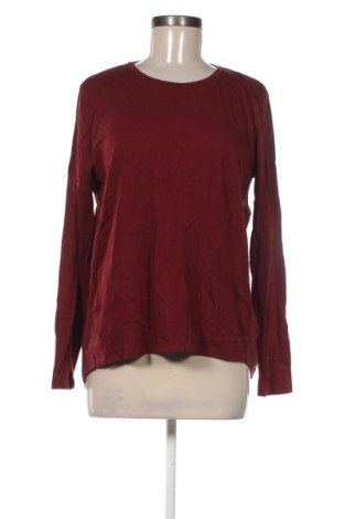 Damen Shirt Gerard Darel, Größe L, Farbe Rot, Preis € 42,00